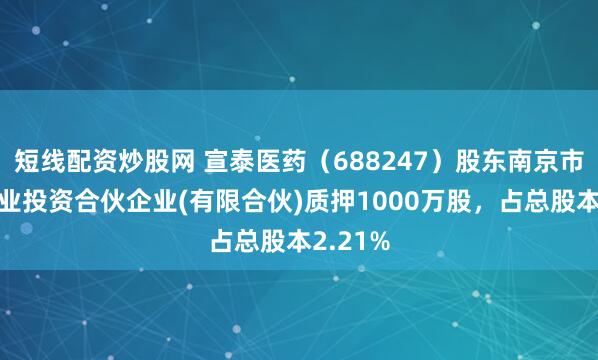 短线配资炒股网 宣泰医药（688247）股东南京市栖和创业投资合伙企业(有限合伙)质押1000万股，占总股本2.21%